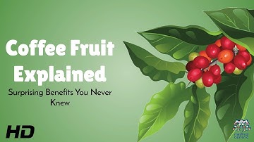 Coffee Fruit Explained : Surprising Benefits You Never Knew