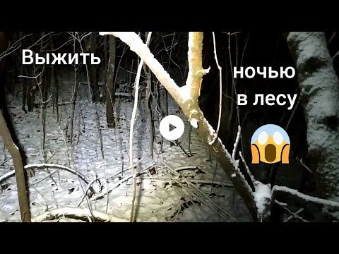 Секрет НКВД, как выжить в лесу зимой. Мужик ушёл в лес и там 😱🥶🥶