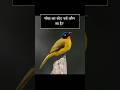 सभी राज्यों के राजकीय पक्षी क्या हैं ❓❓State bird of all state of India Part 1 #gkshorts