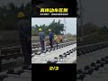 別再混淆了,高鐵動車的本質區別 #高铁,动车,区别,铁路,科普,列车