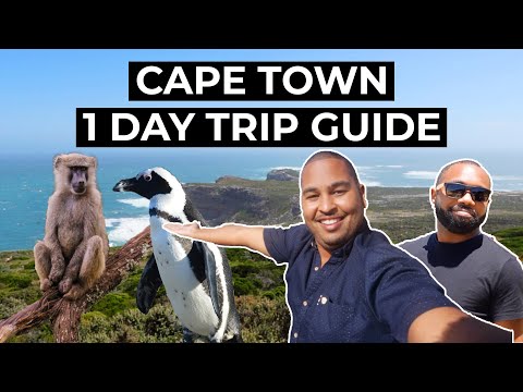 Video: Pendakian Terbaik di Cape Town