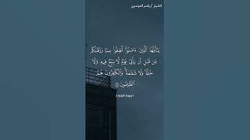 سورة البقرة (٢٥٤)/ياسر الدوسري