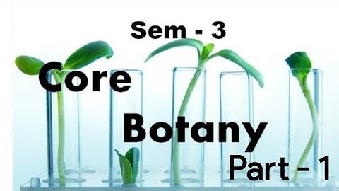 Kerala university BSc botany previous questions - BOTANY - ( sem - 3 )