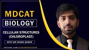 NMDCAT,Biology,Chapter#1,Topic:5 Cellular Structures(Chloroplast)