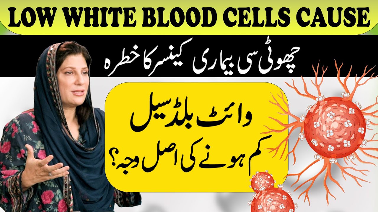 White Blood Cells Ki Kami Aur Uska Ilaj | Low White Blood Cells Cause | Dr. Bilquis