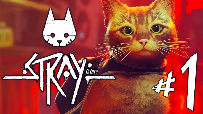 Stray: Gatos no escritório, realismo e a criação do “jogo de gatinho”