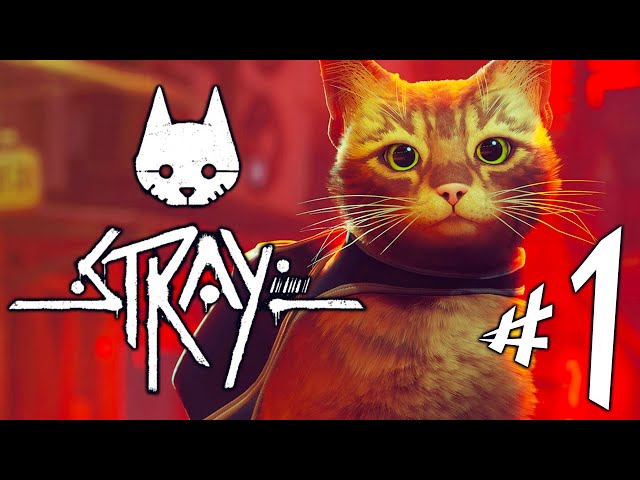 ATENÇÃO: STRAY o Jogo do Gatinho NÃO é o Que Estão dizendo! 