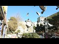 Dove flying (by Xiaomi MI 6)