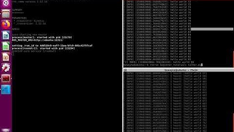 Examining the Simple Publisher and Subscriber using C++ and python by Robotics II: Control course