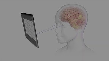 King Devick technologies, inc. Overview