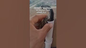 No Act of Kindness... 🙏 ❤️ | SIGMA Rule | Motivational | #shorts