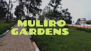 Beautiful Muliro Gardens Kakamega 202