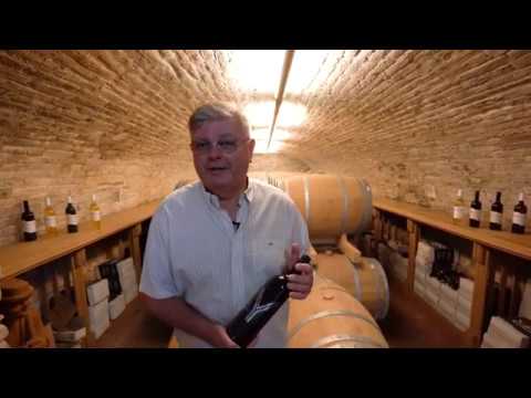 Winery Brzica | Erdut | Hedonism on East | Croatia