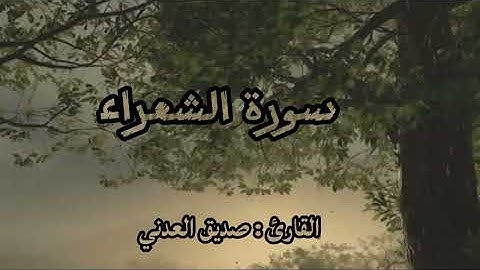 من أجمل تلاوات سورة الشعراء | القارئ صديق العدني | جودة عالية