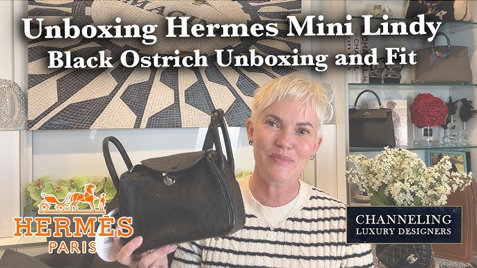 Hermes Unboxing. It's not enough to say “gorgeous” Lindy 30 / Vert Amande  🚫Bags not for sale. Just for fun and to show how our organizer fits  inside.