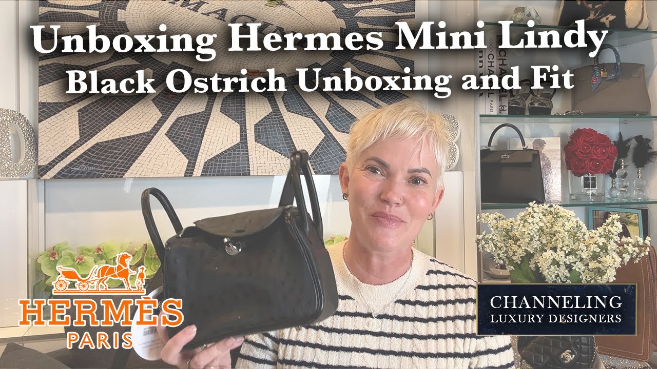 Hermes MINI LINDY - My First Look, What Fits & What Doesn't