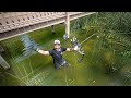 BowFishing Local RED Tilapia From My Backyard POND!! (perfect shot)