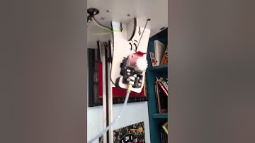 Rostock Max V2 3D Printer (ROCKY) First print