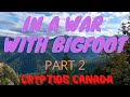 CC EPISODE 375 IN A WAR WITH BIGFOOT PART 2