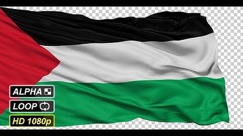 Isolated Waving National Flag of Palestine | Motion Graphics - Videohive template
