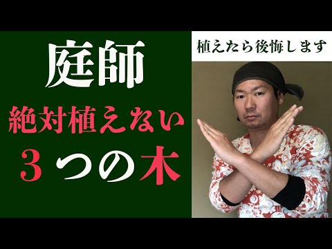 庭師が絶対に【植えない】３つの木を理由とともに解説します