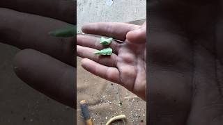 I can’t believe I broke this…
