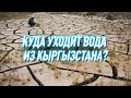 Засуха в Кыргызстане: почему не хватает поливной воды?