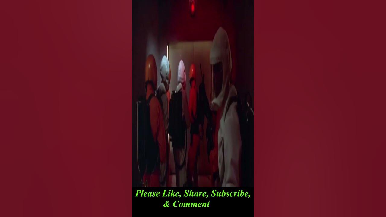 what-is-the-swarm-shorts-youtube