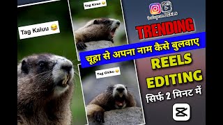 Viral Rat Saying Name Reels Editing || Instagram Trending Reels Editing || New Capcut Template screenshot 3