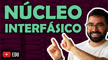 O que vem a ser o núcleo Interfasico?