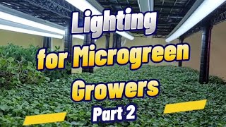 Lighting for Microgreens Growers: Part 2