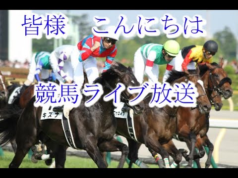 競馬ライブ　　船橋かしわ記念2024　だらだら競馬