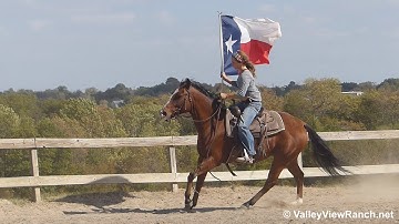 Peptos Playin CD - carrying the flag! - ValleyViewRanch.net
