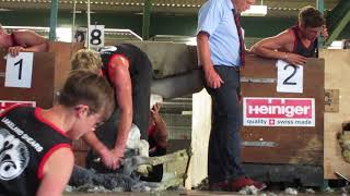 Lakeland Shears 2018, Open Shearing Final