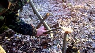 How to survive in the woods,Ловушка.Как выжить в лесу