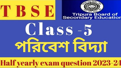 Class 5 EVS Half yearly question 2023-24 #tbse #exam #2024 #evs