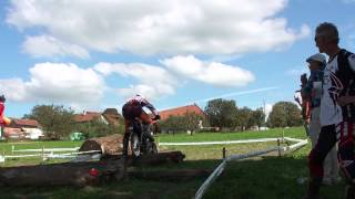 00775Traber 50cc
