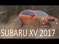 Стало лучше? Новый Subaru XV 2017 #СТОК №49