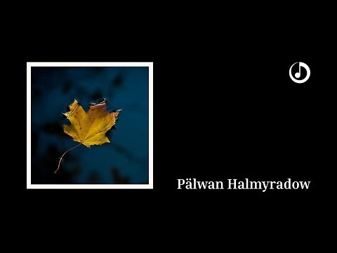 Pälwan Halmyradow – Bilseňiz