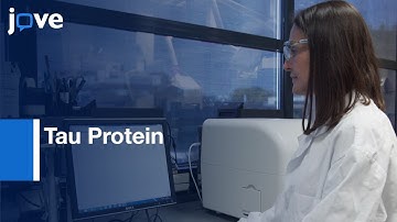 In Vitro Assay for Studying Tau Protein aggregation and Drug Screening | Protocol Preview