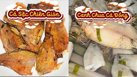 Cơm Chiều với món Cá Sặc Chiên Giòn, Canh Chua Cá Đồng đơn giản hao cơm