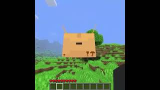 Grox and verity be like: #grox #verity #meme #Minecraft #fyp