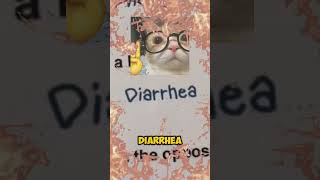 Celebrity Grading Test #shorts #memes Profile