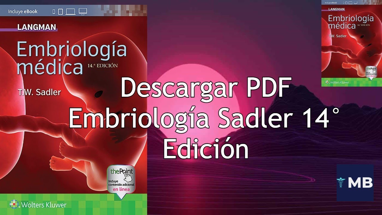 Embriologia Langman 14 Edicion Pdf Descargar