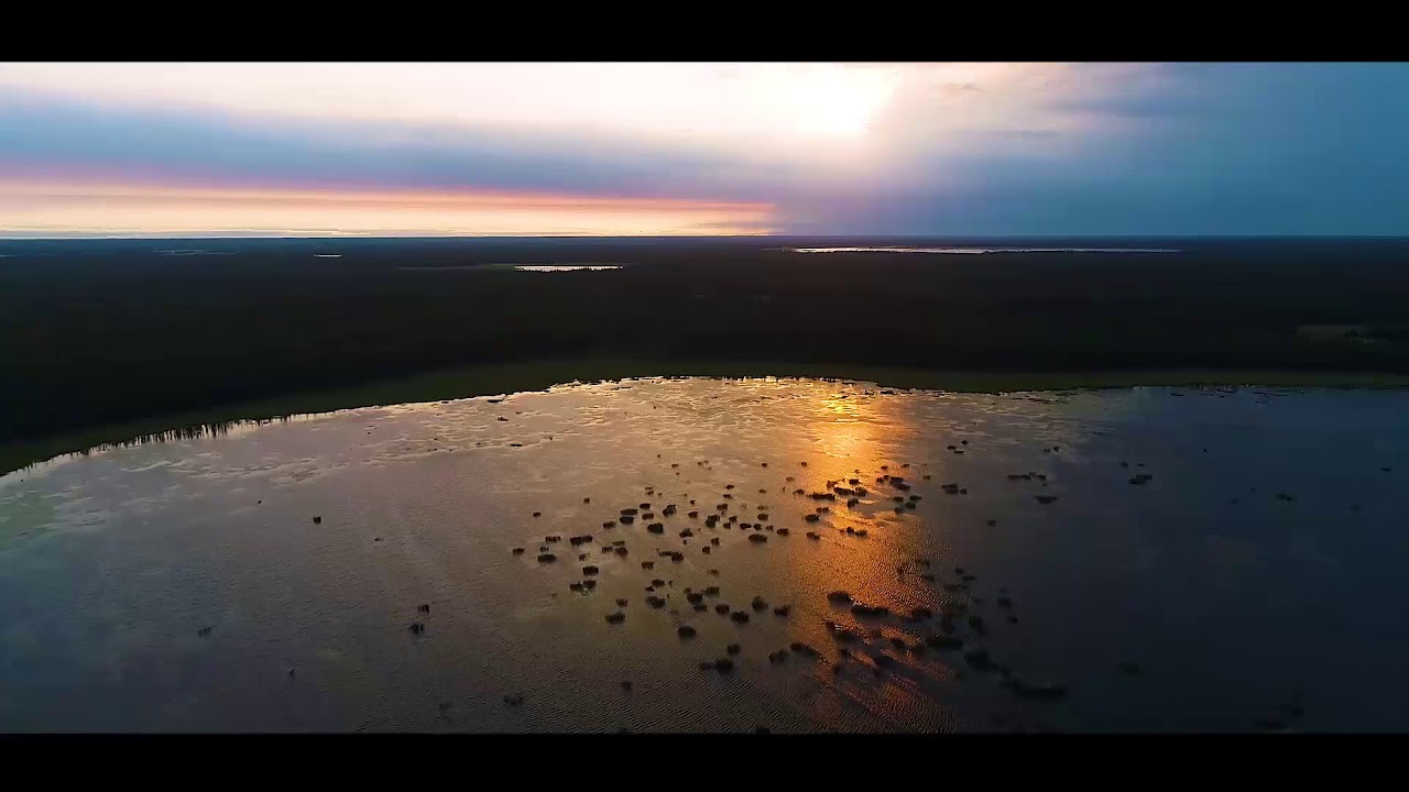 Сиэйэ Уола "Отуу уота" (Л.Попов тыла, бэйэтин матыыба). Ахсынньы, 2020 ...