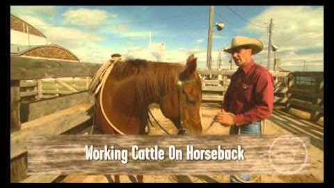 Low Stress Cattle Handling - Auction Market (BQA)