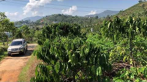 {UNI ĐÃ BÁN} Đất nghỉ dưỡng đẹp tại TP Bảo Lộc có 2 mặt tiền hiển thị trên sổ DT 880 m2