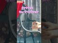 【ナナヲアカリ】「キュートフィクション」をちょっとだけ弾いてみました。#Shorts