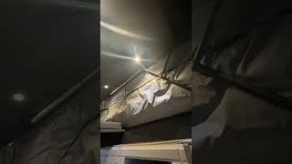 IMG 3840