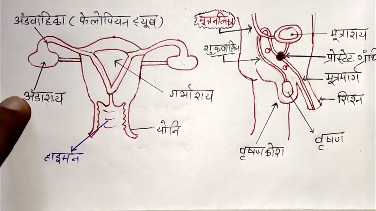 mada janan tantranar janan tantramada janan tantra ka namankit